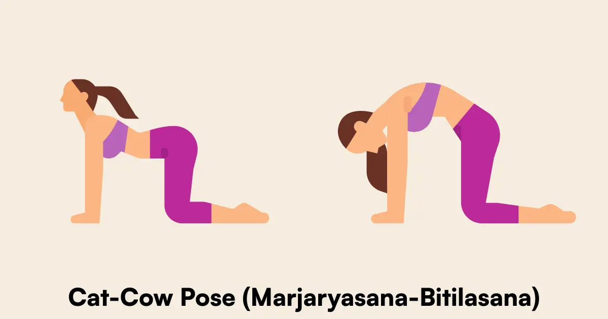 Cat-Cow Pose (Marjaryasana-Bitilasana)