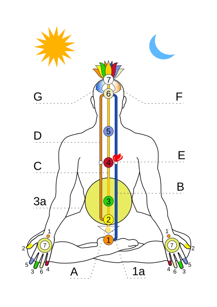 Ida, Pingala, and Sushumna