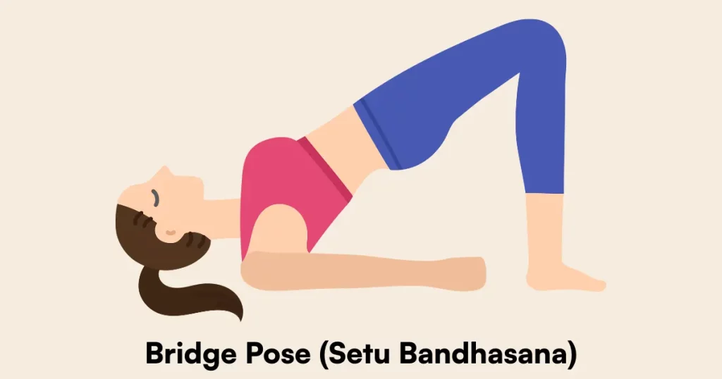 Bridge Pose (Setu Bandhasana)