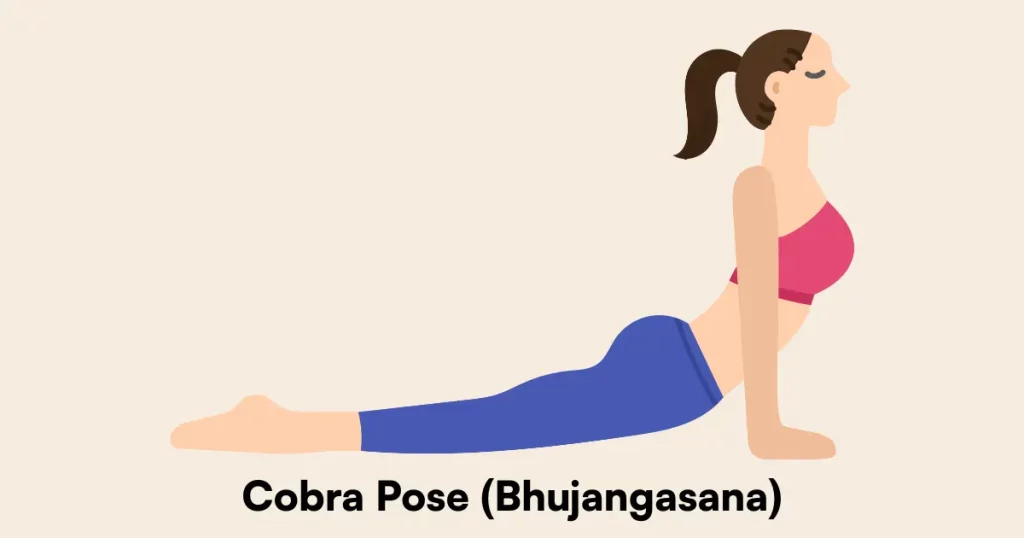 Cobra Pose (Bhujangasana)