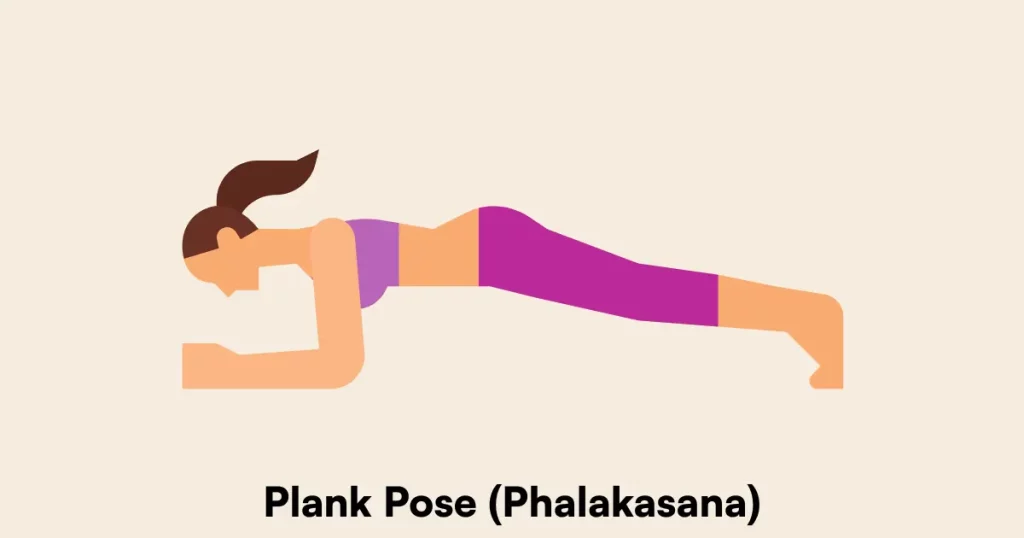 Plank Pose (Phalakasana)