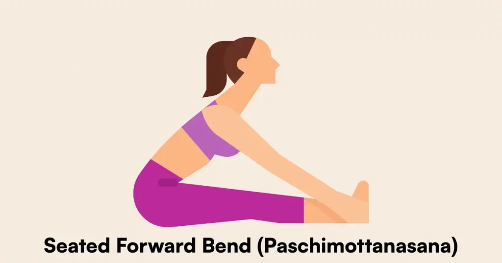 Seated Forward Bend (Paschimottanasana)