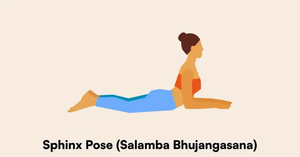 Sphinx Pose (Salamba Bhujangasana)