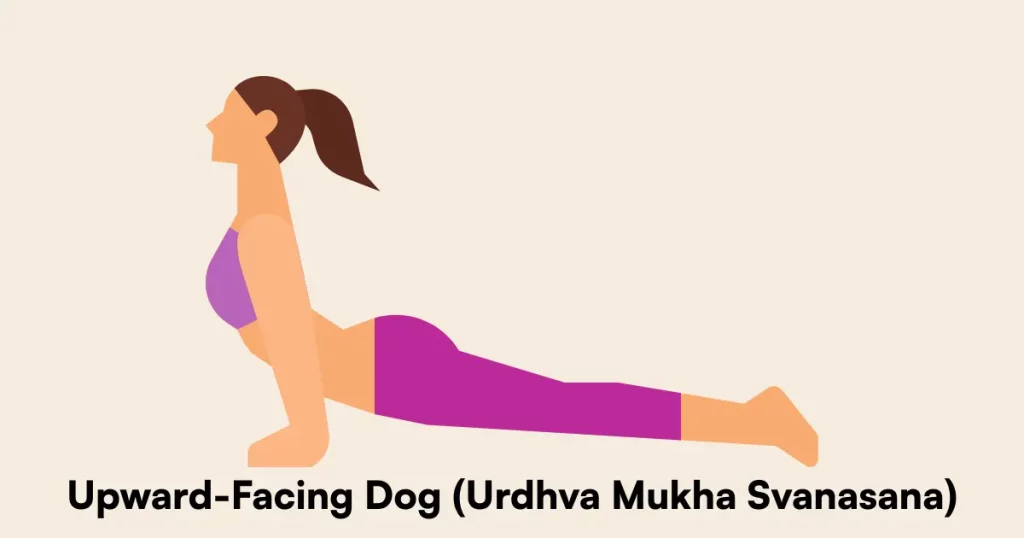 Upward-Facing Dog (Urdhva Mukha Svanasana)