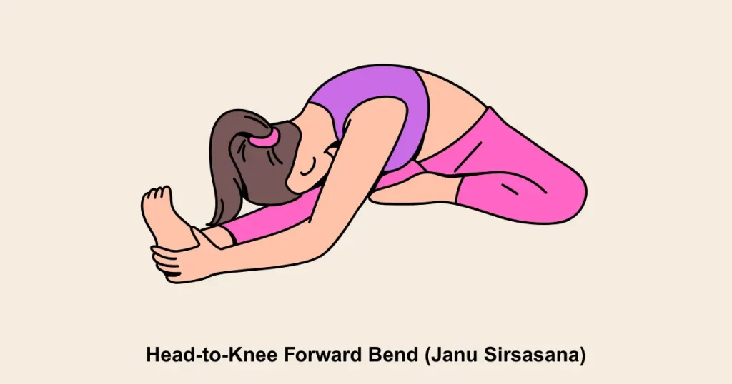 Head To Knee Forward Bend (Janu Sirsasana)