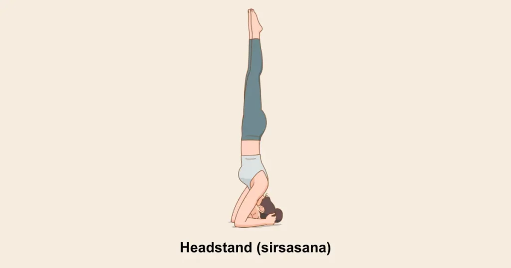 Headstand (sirsasana)