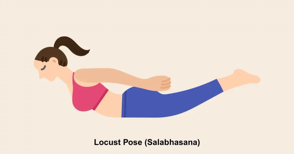 Locust Pose (Salabhasana)