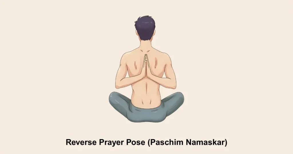 Reverse Prayer Pose (Paschim Namaskar)