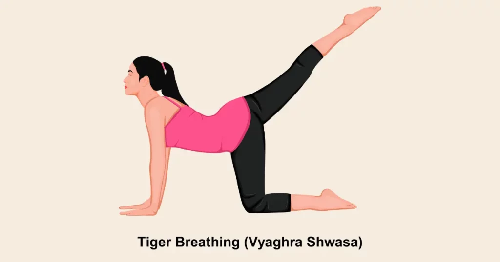 Tiger Breathing (Vyaghra Shwasa)