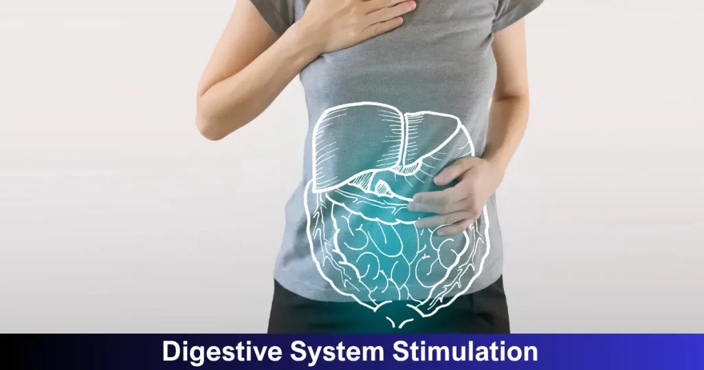 Digestive System Stimulation