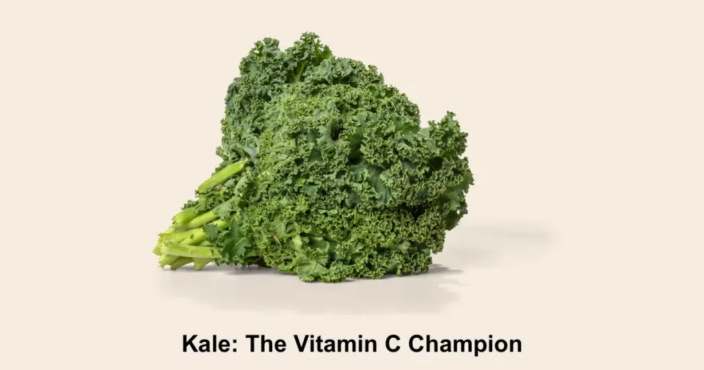 Kale The Vitamin C Champion