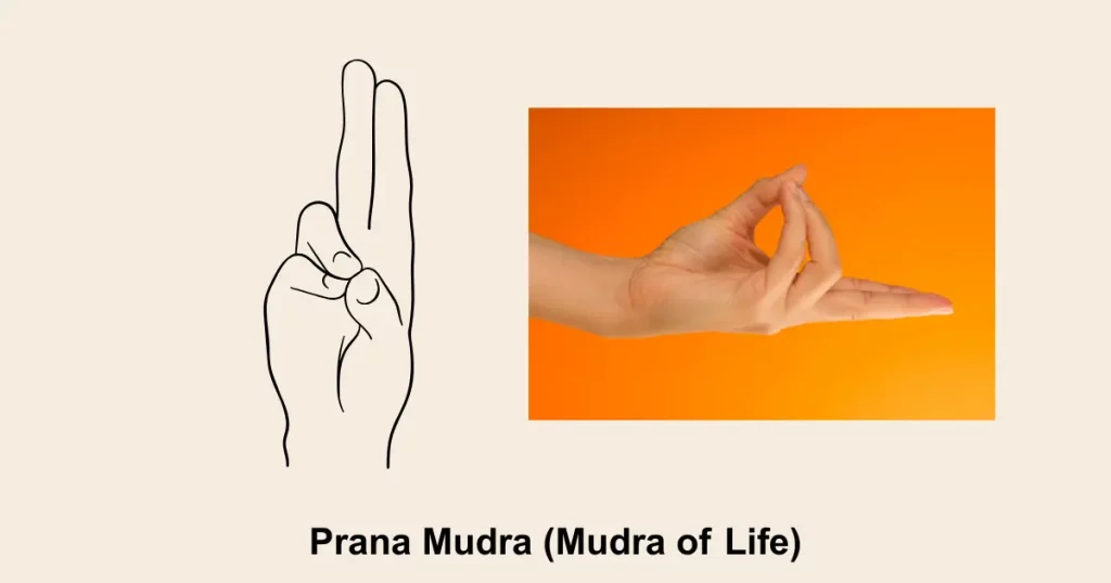 Prana Mudra (Mudra Of Life)