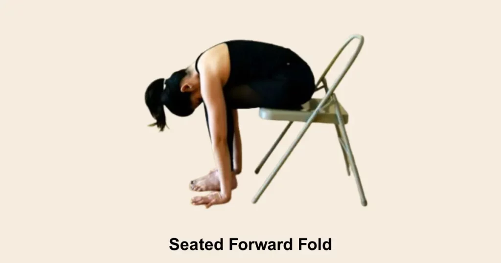 Seated Forward Fold