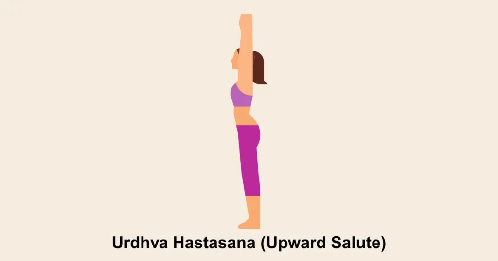 Urdhva Hastasana (Upward Salute)