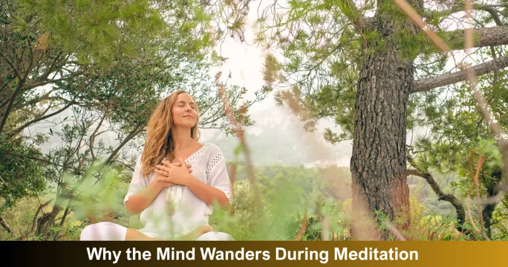 Why The Mind Wanders During Meditation