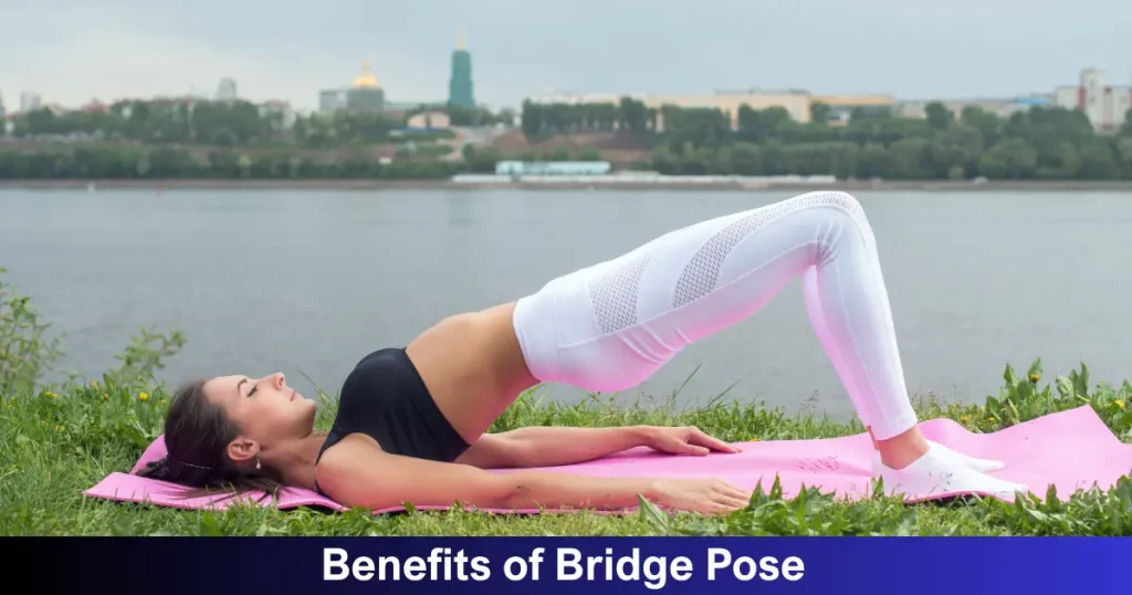 Benefits Of Bridge Pose
