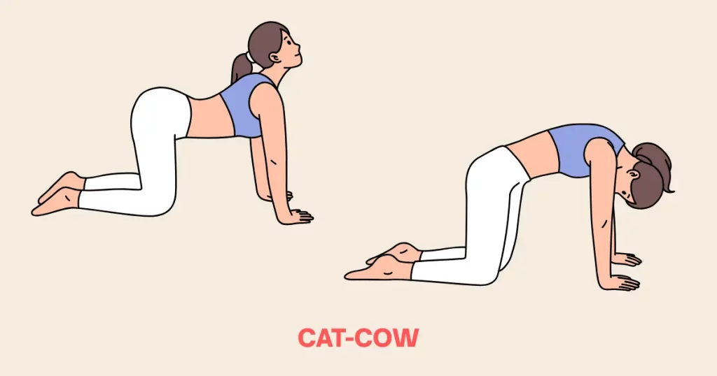Cat Cow