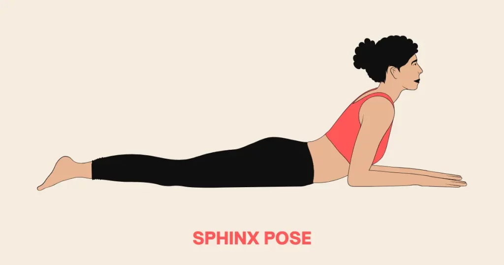 Sphinx Pose