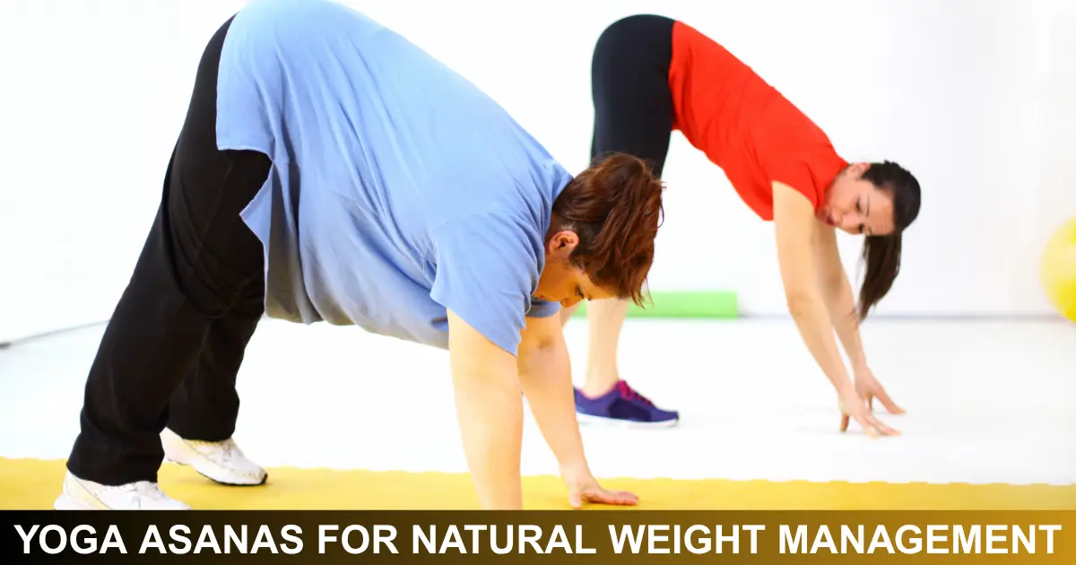 Yoga Asanas For Natural Weight Management
